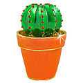My Cacti Trinket Box