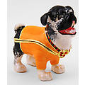 Fang Trinket Box