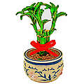 Get Lucky Trinket Box
