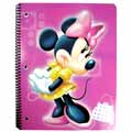 Mickey Theme Book