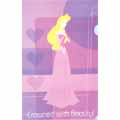 Princess PVC Document Folder