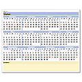 QuickNotes Reversible Erasable Monthly/Yearly Wall