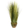 Onion Grass in Ceramic Container