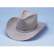 Silver Sand Wool Felt Cowboy Hat