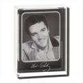 Elvis Picbrick Collectible