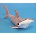 Hammerhead Shark