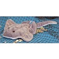 Stingray