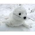 17" White Seal