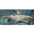 20" Shark