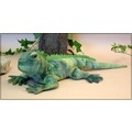 22" Iguana