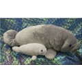 17" Manatee with 8" Baby