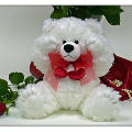 8.5" Sit. White Bear w/Dangle Heart