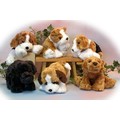 10" Poseable Dog, 6 Asst