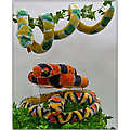 54" Thin Snake, 3 Asst. Patterns