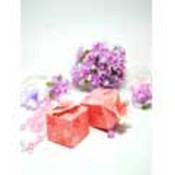 Pink Cherry Blossom Favor Boxes