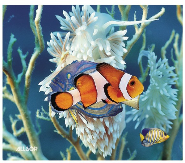 3D Mouse Pad Marine