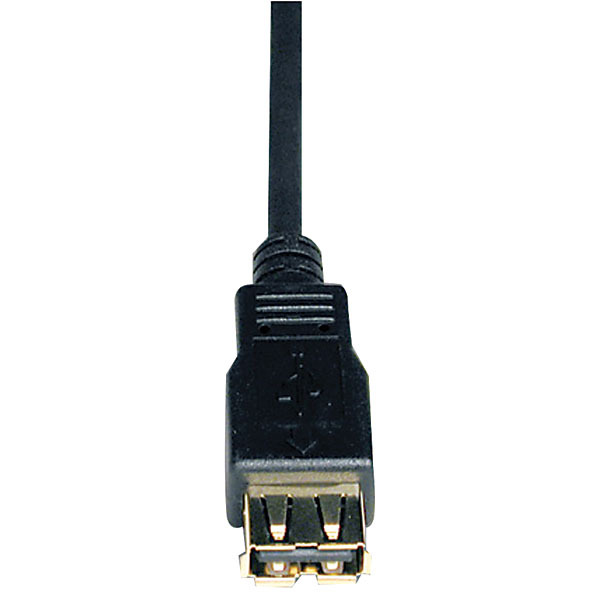 Usb Ext Cable 6 Ft