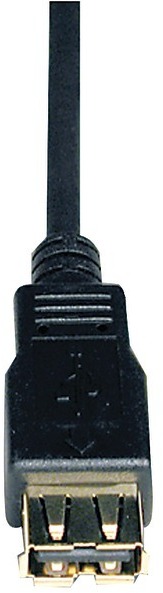 Usb Ext Cable 10 Ft